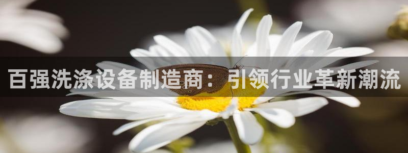 彩神团队是真的吗：百强洗涤设备制造商：引领行业革新潮流