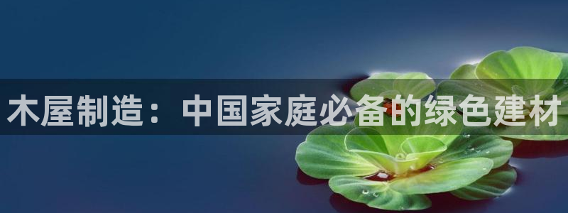 彩神VI首页：木屋制造：中国家庭必备的绿色建材
