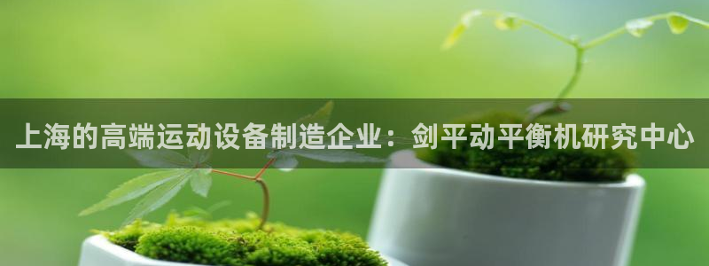 彩神vll首页：上海的高端运动设备制造企业：剑平动平衡机研究中心
