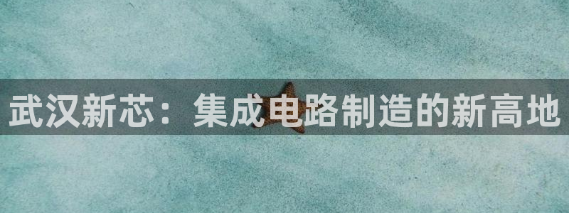 彩神Vll购彩大厅：武汉新芯：集成电路制造的新高地