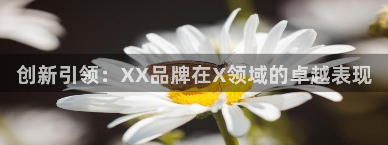 彩神v集团有限公司：创新引领：XX品牌在X领域的卓越表现