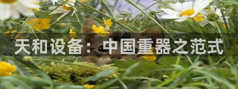 彩神vi争霸官网：天和设备：中国重器之范式