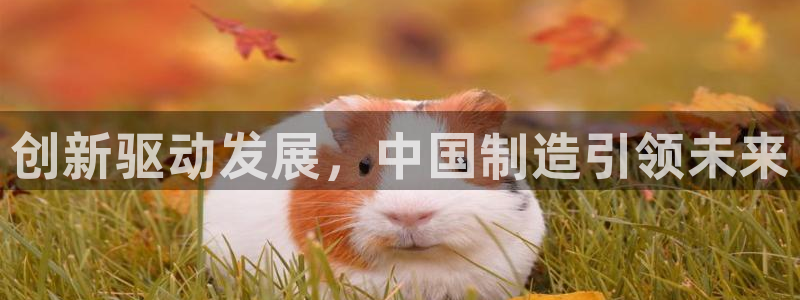 彩神v8是真的挣钱吗安全吗：创新驱动发展，中国制造引领未来