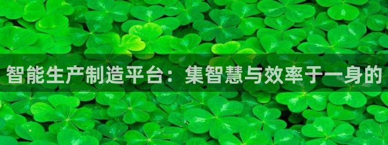 彩神团队是真的吗：智能生产制造平台：集智慧与效率于一身的