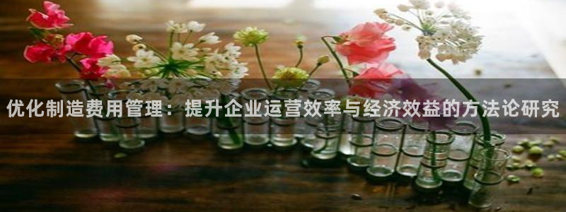 彩神广告有限公司：优化制造费用管理：提升企业运营效率与经济效益的方法论研究