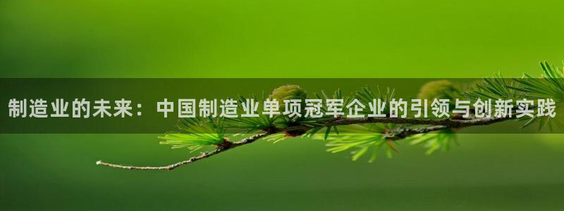 彩神vll首页企业文化：制造业的未来：中国制造业单项冠军企业