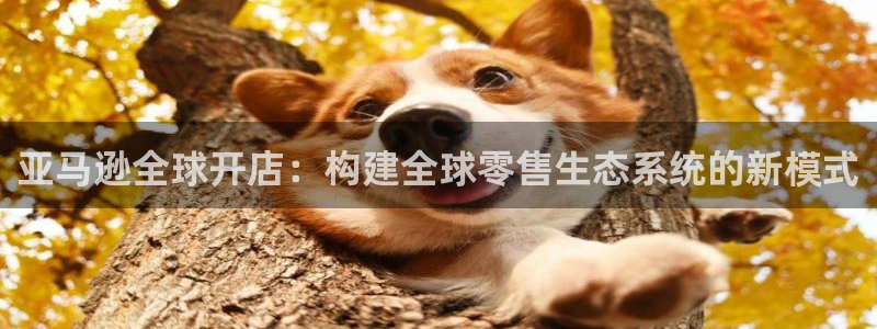 彩神到底能不能赚钱：亚马逊全球开店：构建全球零售生态系统的新模式