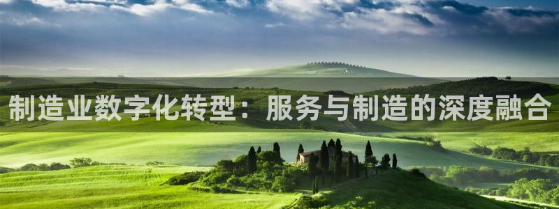 彩神VII官方版