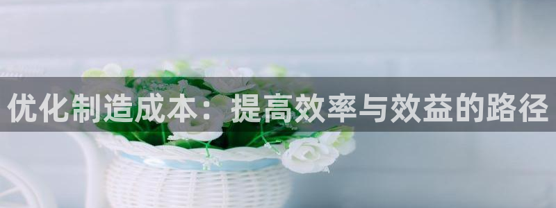 彩神8是正规平台吗是正品吗：优化制造成本：提高效率与效益的路径