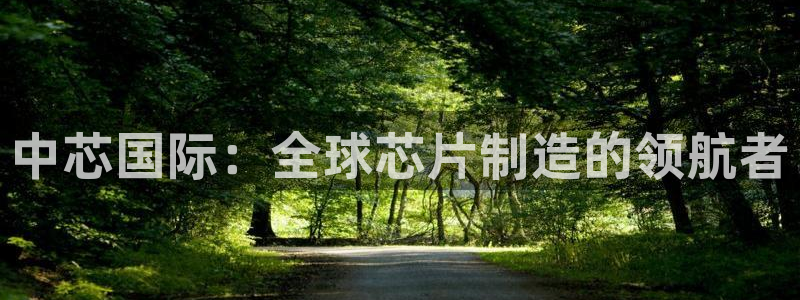 彩神v8app：中芯国际：全球芯片制造的领航者