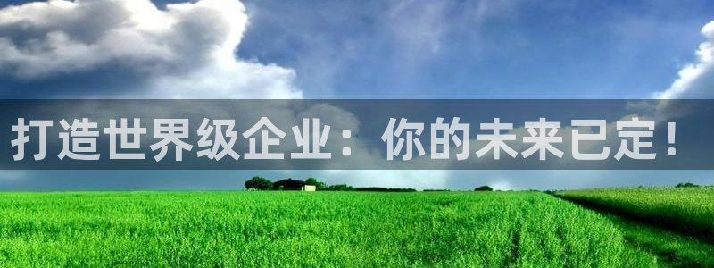 彩神v8是一个什么平台啊