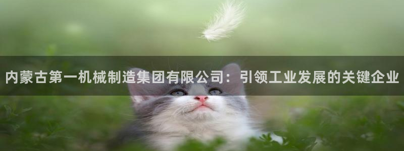 彩神官方网站登录是多少：内蒙古第一机械制造集团有限公司：引领