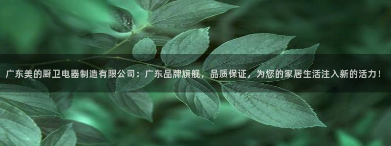 有谁知道彩神争霸的网址：广东美的厨卫电器制造有限公司：广东品牌旗舰，品质保证，为您的家居生活注入新的活力！