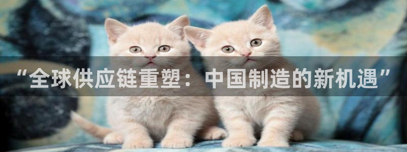 彩神是真的吗：“全球供应链重塑：中国制造的新机遇”