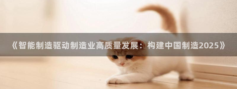下载彩神乐发V：《智能制造驱动制造业高质量发展：构建中国制造2025》