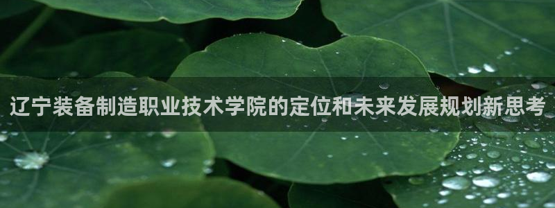 彩神x平台靠什么盈利：辽宁装备制造职业技术学院的定位和未来发展规划新思考