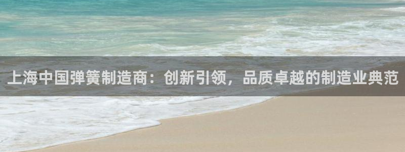 彩神iv真的能赚钱吗：上海中国弹簧制造商：创新引领，品质卓越