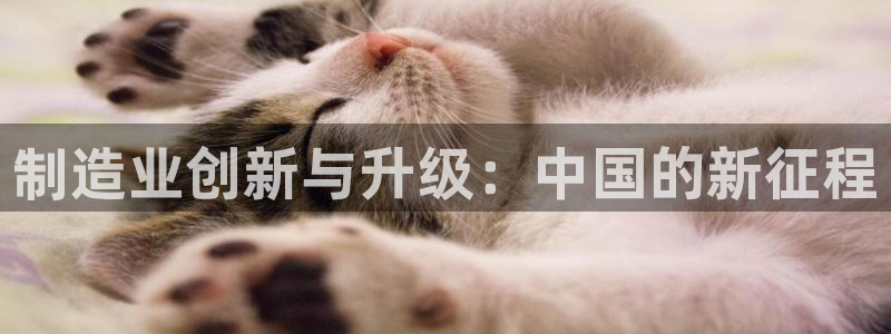 彩神v8平台正规吗知乎：制造业创新与升级：中国的新征程