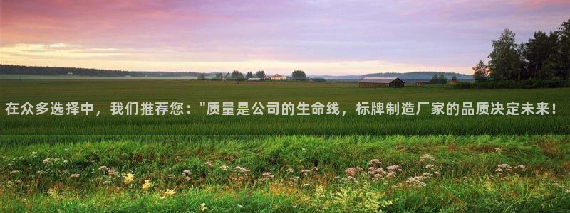 彩神v8平台正规吗可靠吗：在众多选择中，我们推荐您：\