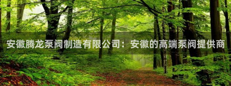 彩神怎么才能赢：安徽腾龙泵阀制造有限公司：安徽的高端泵阀提供商