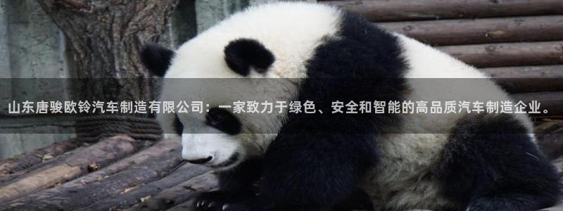彩神V官网：山东唐骏欧铃汽车制造有限公司：一家致力于绿色、安全和智能的高品质汽车制造企业。