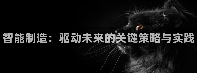 彩神ix是真的吗