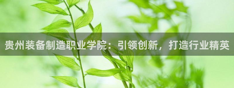彩神x平台靠什么盈利：贵州装备制造职业学院：引领创新，打造行业精英