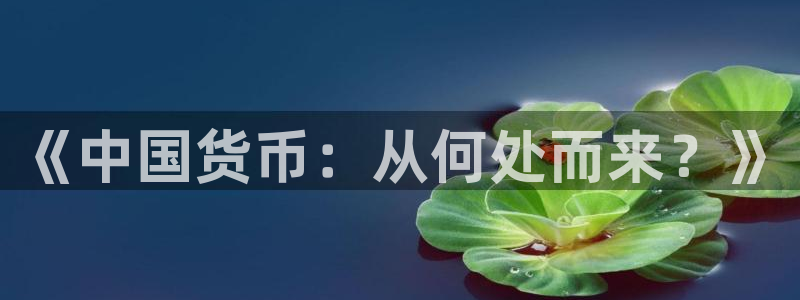 彩神8是正规平台吗安全吗：《中国货币：从何处而来？》