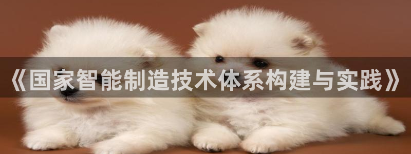 彩神用户登录：《国家智能制造技术体系构建与实践》