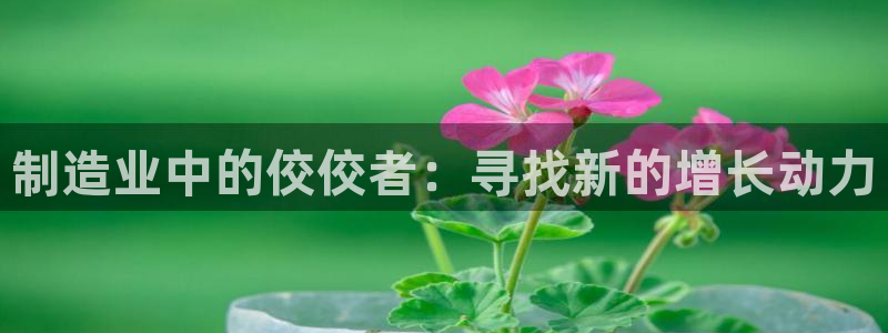 彩神v集团有限公司：制造业中的佼佼者：寻找新的增长动力