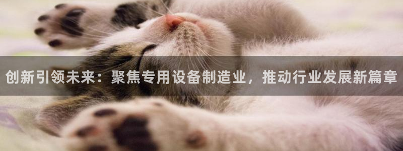 彩神ix官网：创新引领未来：聚焦专用设备制造业，推动行业发展