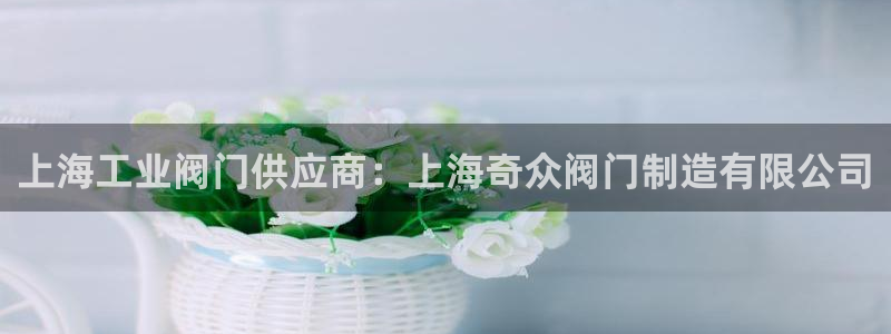 彩神是真的吗：上海工业阀门供应商：上海奇众阀门制造有限公司
