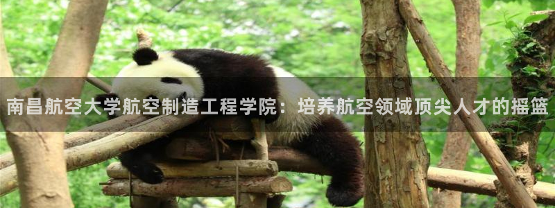 彩神viii官网：南昌航空大学航空制造工程学院：培养航空领域顶尖人才的摇篮