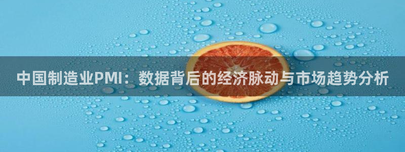 彩神V8有限公司：中国制造业PMI：数据背后的经济脉动与市场趋势分析