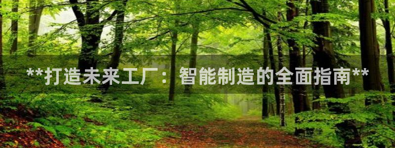 彩神vlll官方网：**打造未来工厂：智能制造的全面指南**